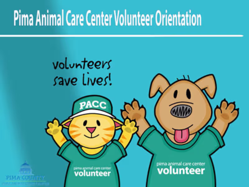 Cover image for New Volunteer Orientation