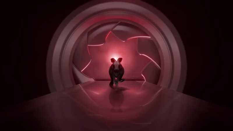 Cover image for Jackrabbit Media - Motion Graphic Logo