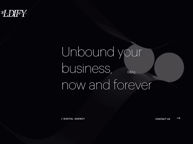 Cover image for Ldify