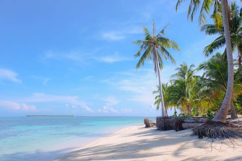Cover image for A Newbie’s Guide to the Philippines