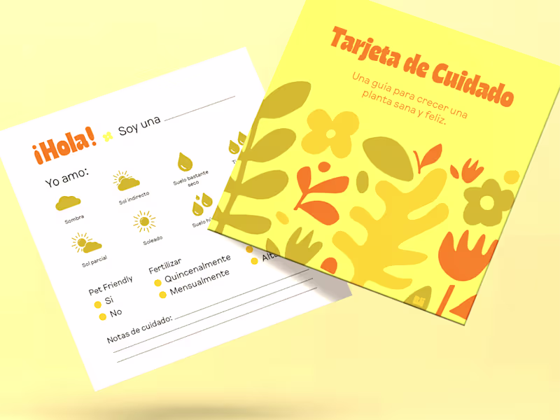 Cover image for Get a professional Visual Identity for your brand/business!