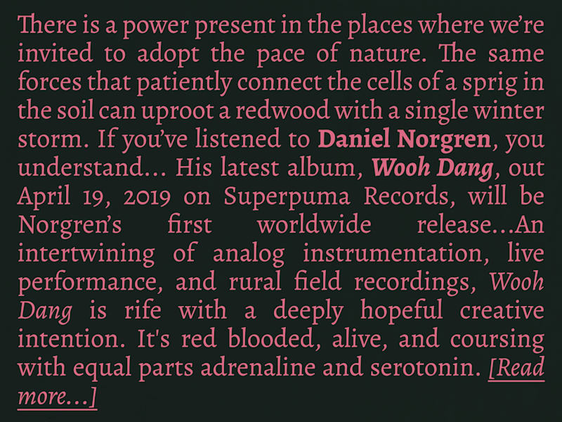 Cover image for Artist Bio: Daniel Norgren - Wooh Dang (2019)