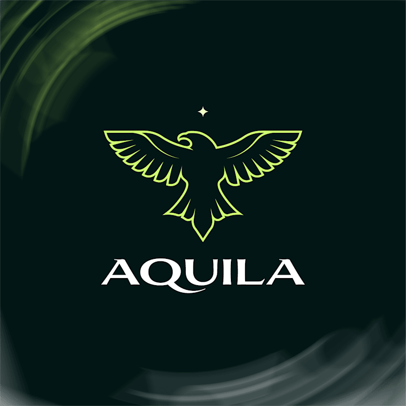 Cover image for Aquila — logo design