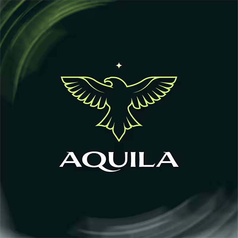 Cover image for Aquila — logo design