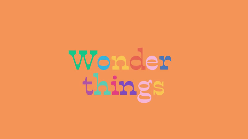 Cover image for Wonder Things 