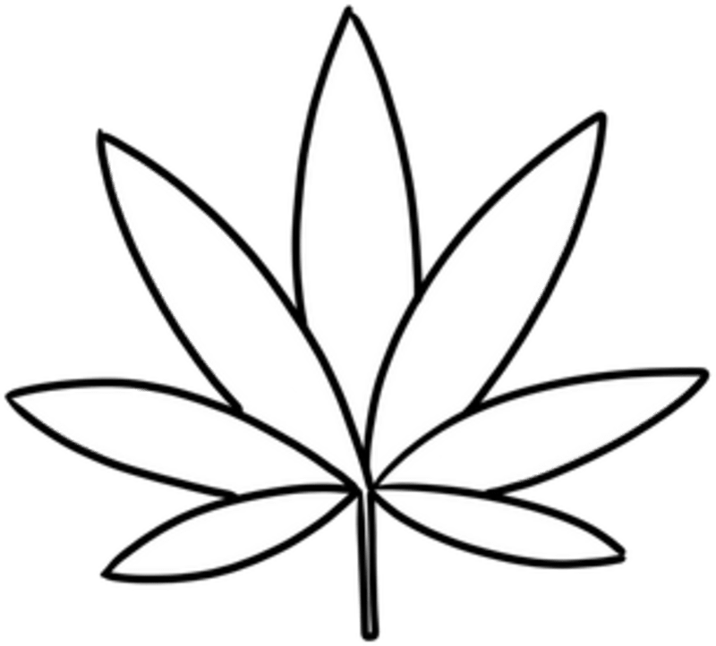 Cover image for Gamified On-Chain Utilities for Stoned Ape Crew