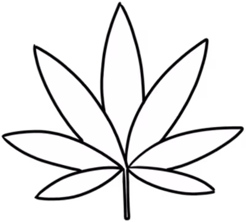 Cover image for Gamified On-Chain Utilities for Stoned Ape Crew