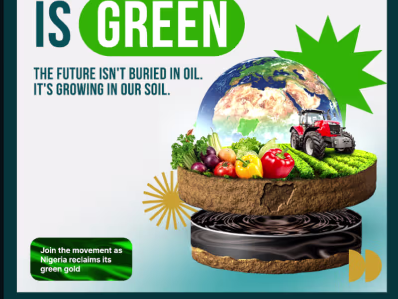 Cover image for The Nigeria Food Summit Official (@thenigeriafoodsummitofficial…