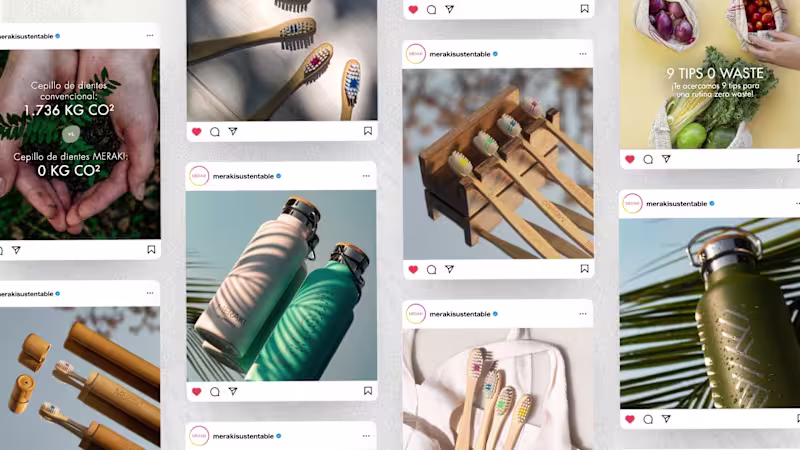Cover image for Meraki — Digital Presence and B2B Platform