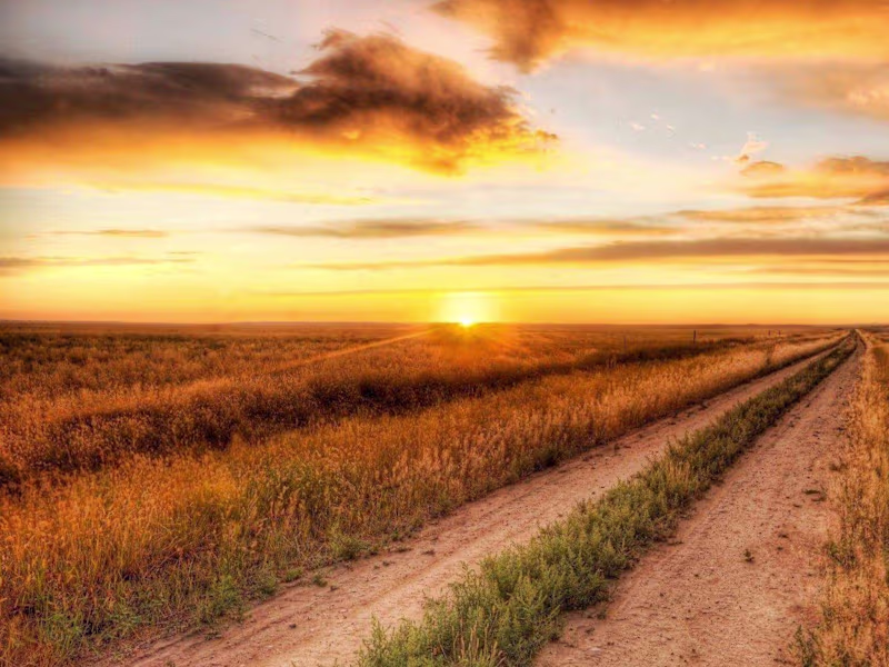 Cover image for Logo and Branding Design