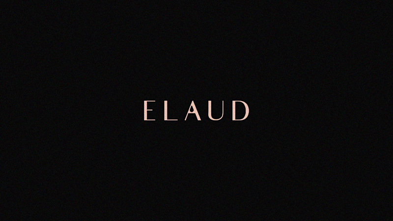 Cover image for Beauty Brand Style Guide (ELAUD)