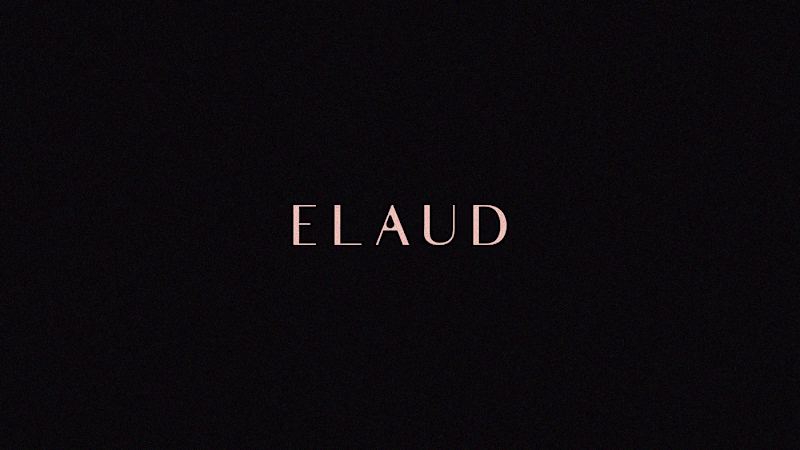 Cover image for Beauty Brand Style Guide (ELAUD)