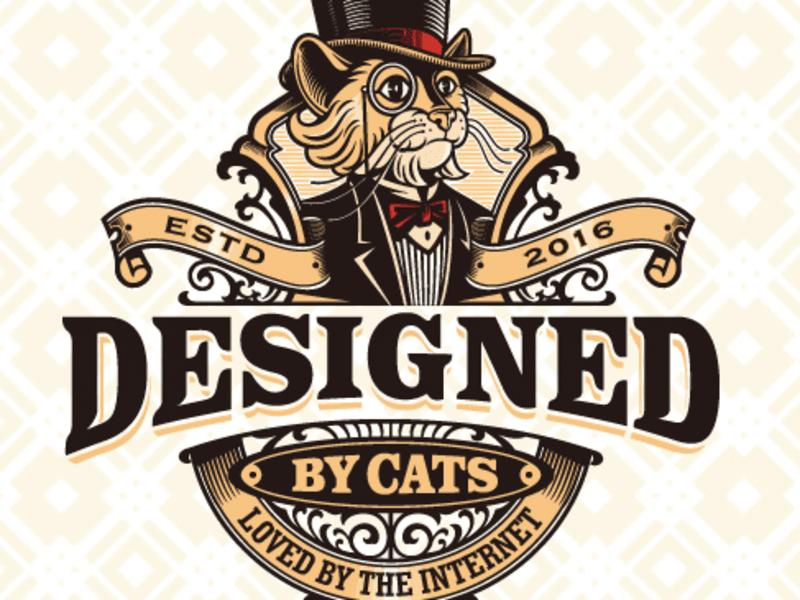 Cover image for Cool Cats Co: How Small Changes Led to Big Results