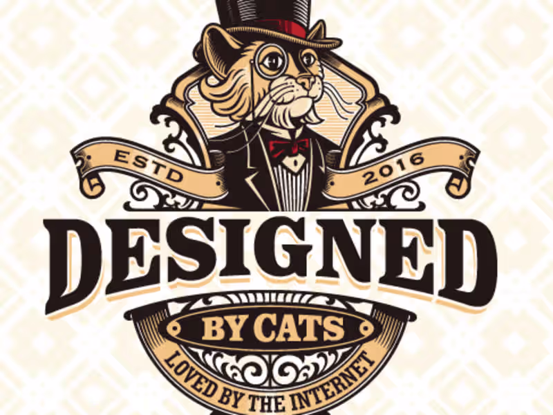 Cover image for Cool Cats Co: How Small Changes Led to Big Results