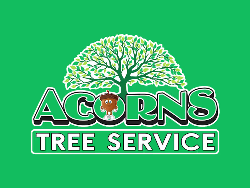 Cover image for Social Media