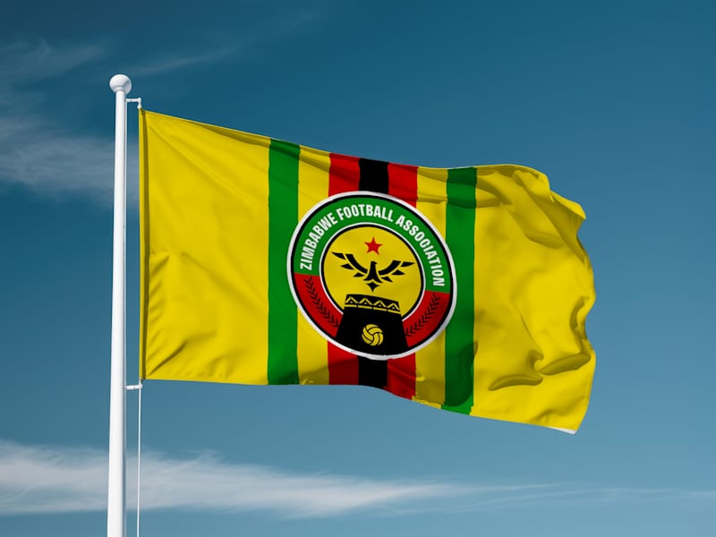 Cover image for Zimbabwe Football Team Rebranding