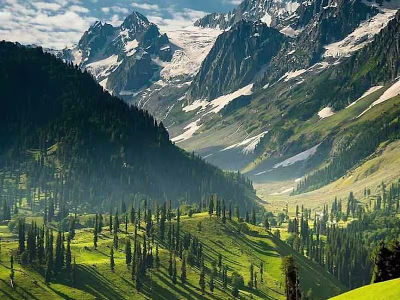 Cover image for Interactive Blog Series