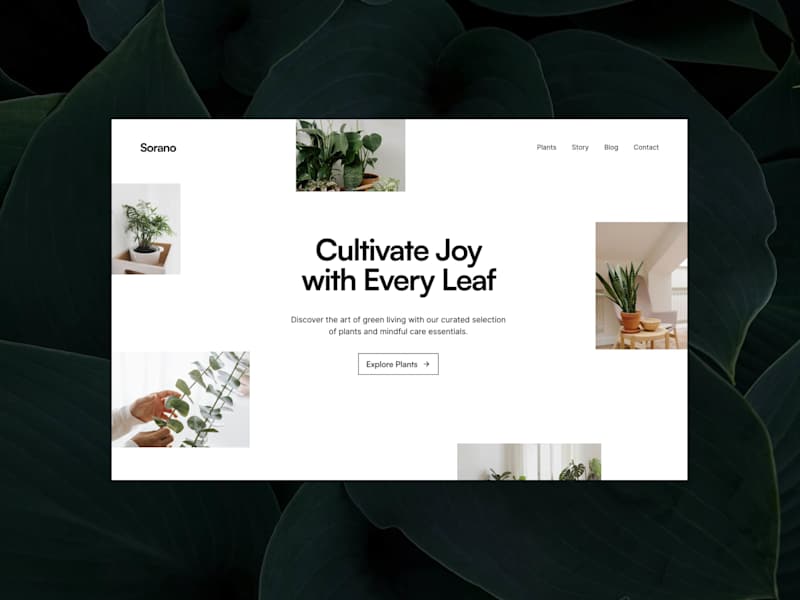 Cover image for ✦ Framer Website (Design + Development)
