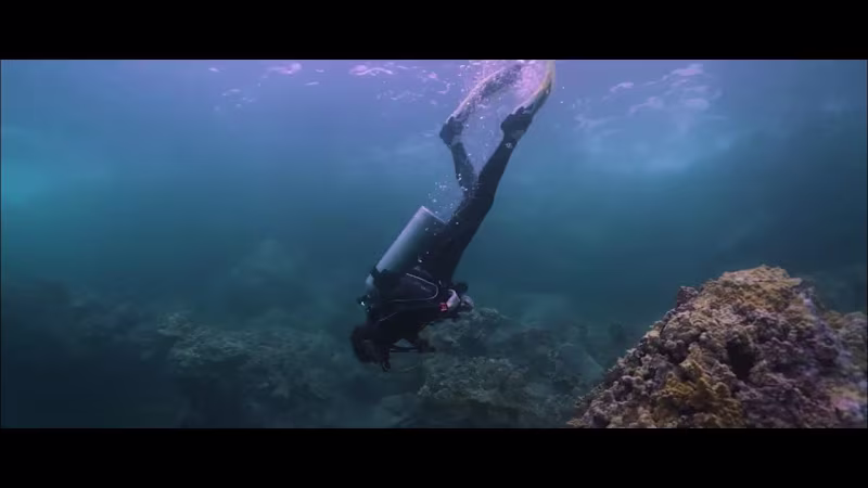 Cover image for My Entry For The #tmsedit2023 Editing Contest - YouTube