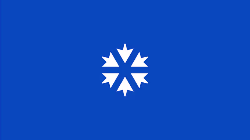 Cover image for Bulk Supply Branding on Behance