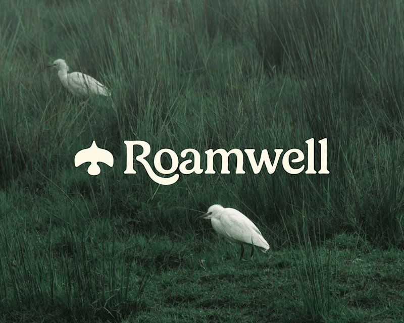 Cover image for Brand Identity for Roamwell
