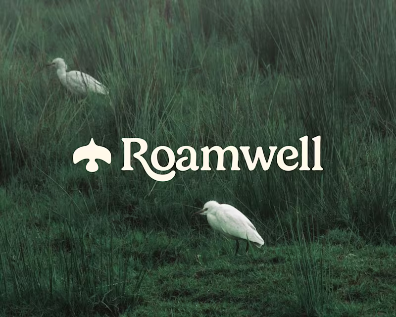 Cover image for Brand Identity for Roamwell