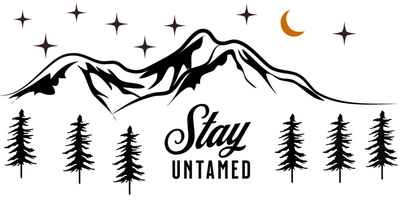 Cover image for VersaWrite: Harmonizing Diverse Voices, Crafting Content