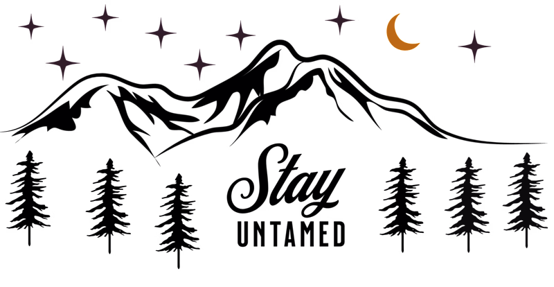 Cover image for VersaWrite: Harmonizing Diverse Voices, Crafting Content