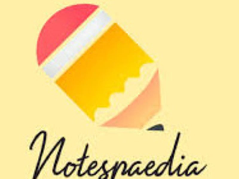 Cover image for Notespaedia 