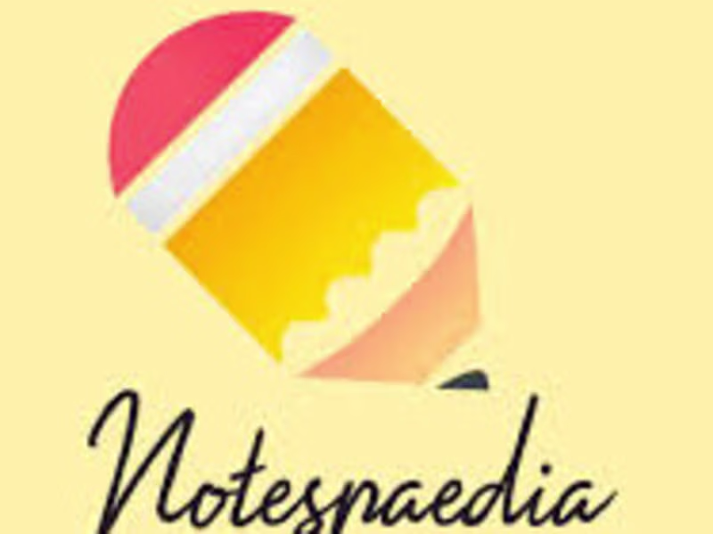 Cover image for Notespaedia 