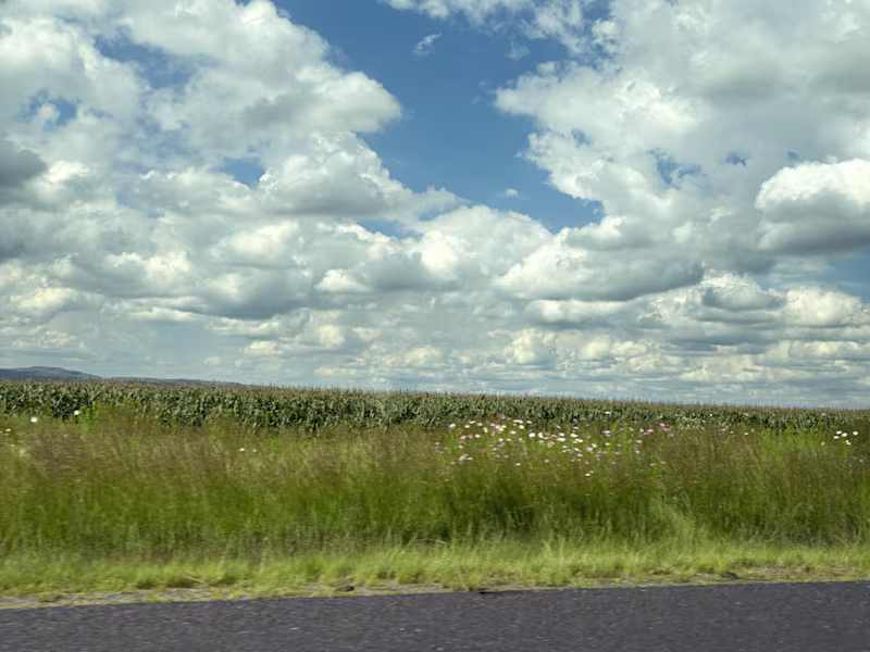 Cover image for Bergview Video