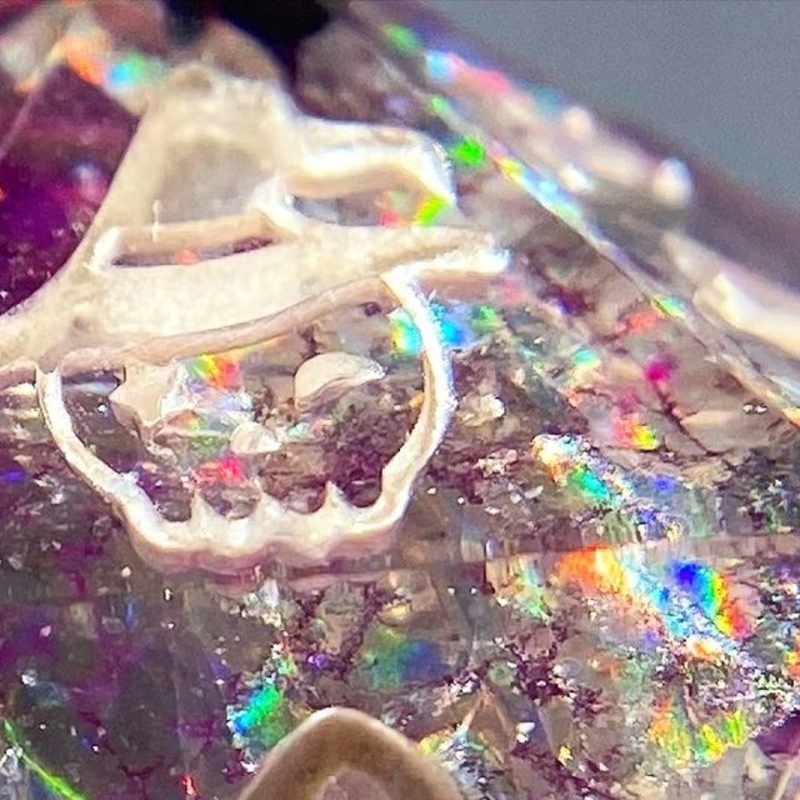 Cover image for Privi’s Potions on Instagram: ”#throwbackthursday to some of my…