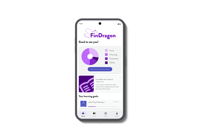 Cover image for FinDragon