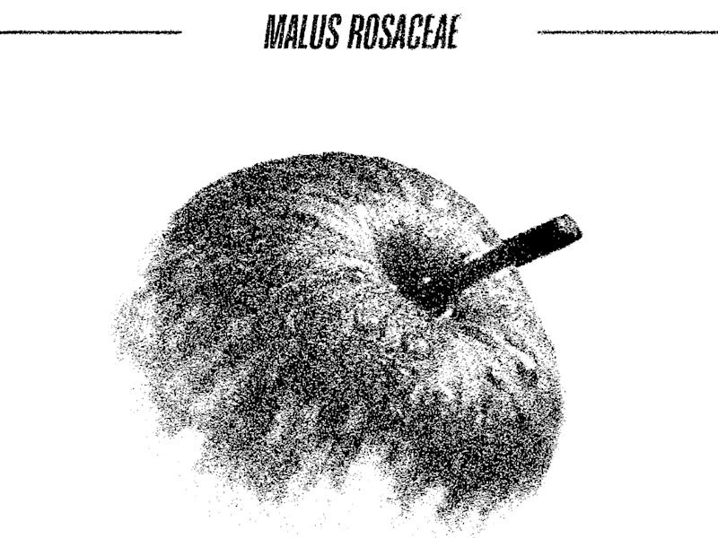 Cover image for Illustration for a book. 