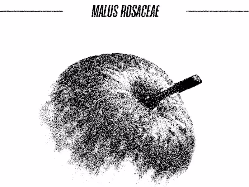 Cover image for Illustration for a book. 