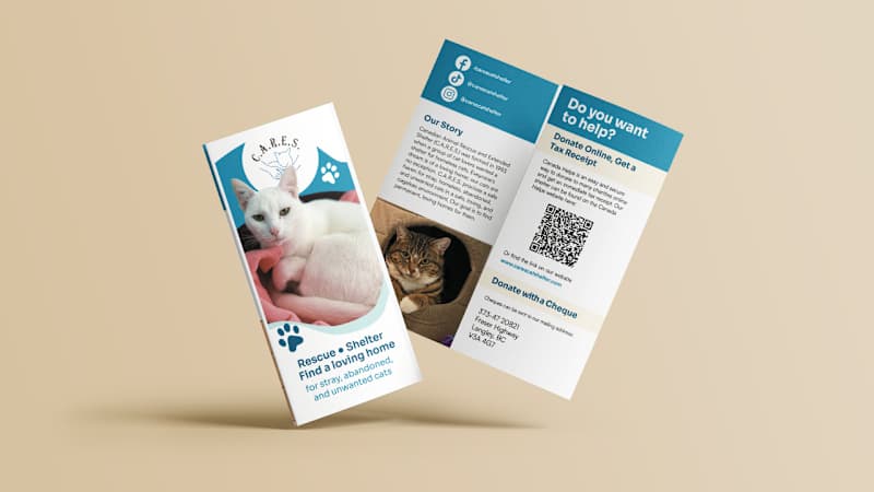 Cover image for CARES Brochure Revitalization