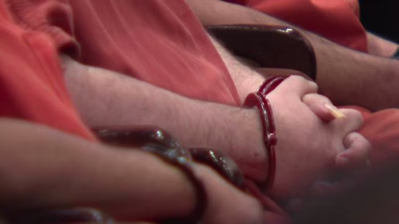 Cover image for Investigating Domestic Violence Case Backlog in Bexar County