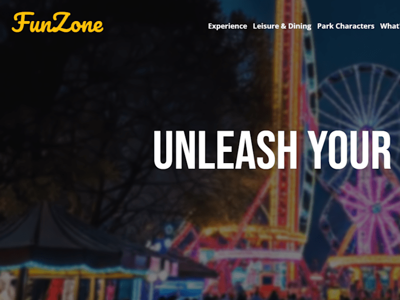 Cover image for Fun Zone