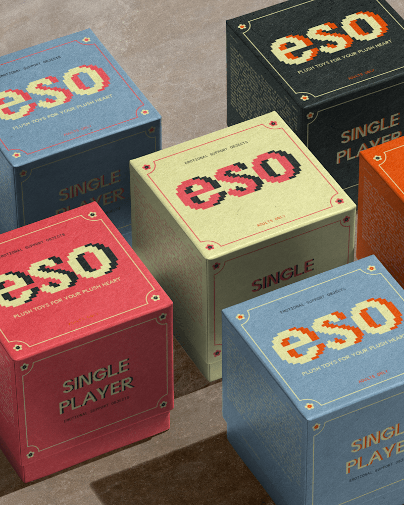 Cover image for Brand visual identity