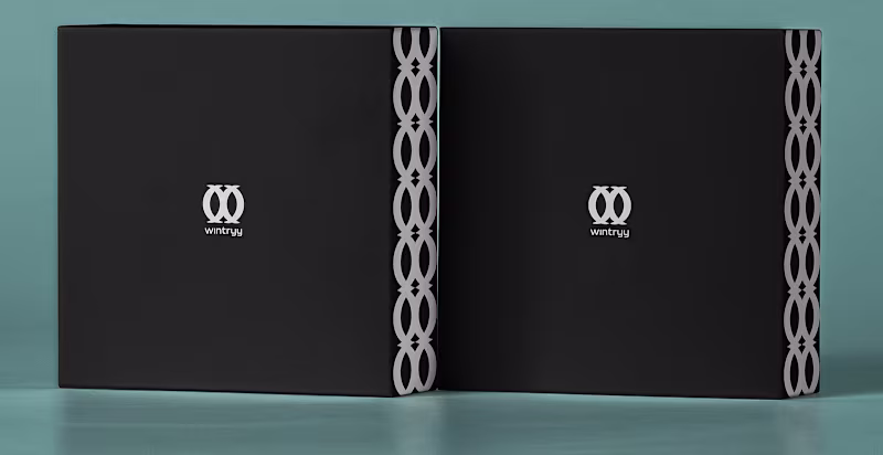 Cover image for Wintryy | Brand Identity | 2021