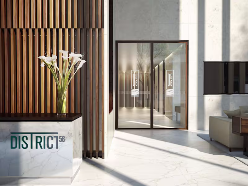 Cover image for District 56 | Branding