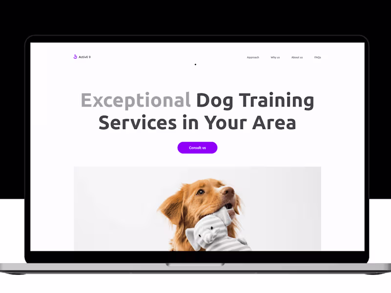 Cover image for Will design your website 