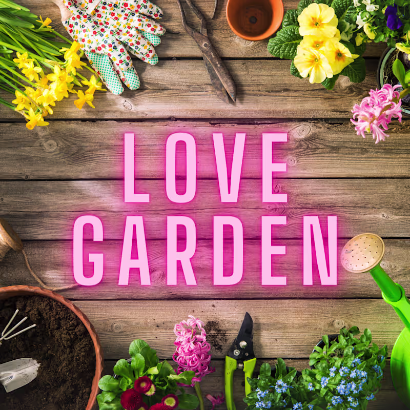 Cover image for Love Garden