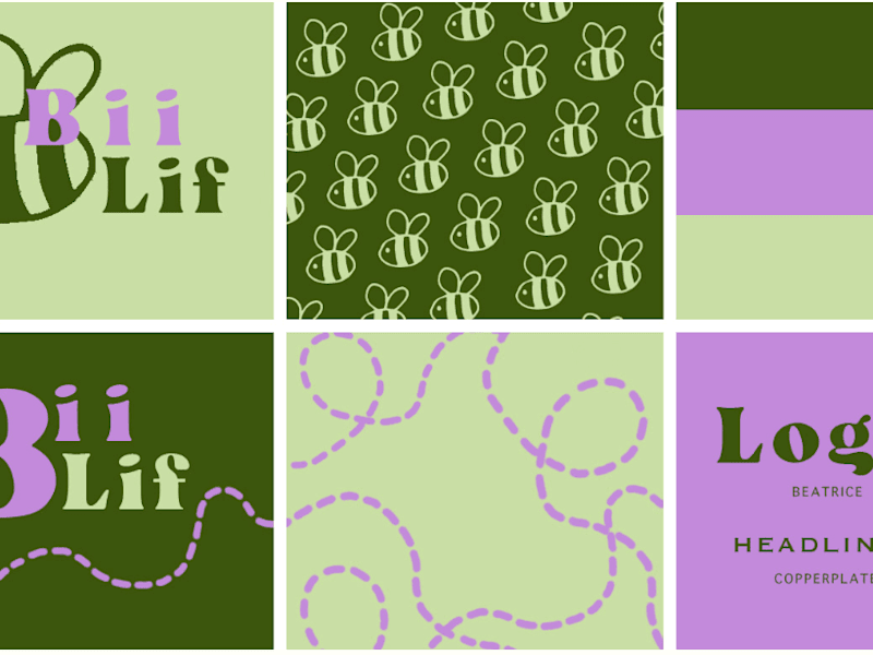 Cover image for Branding for Bii Lif