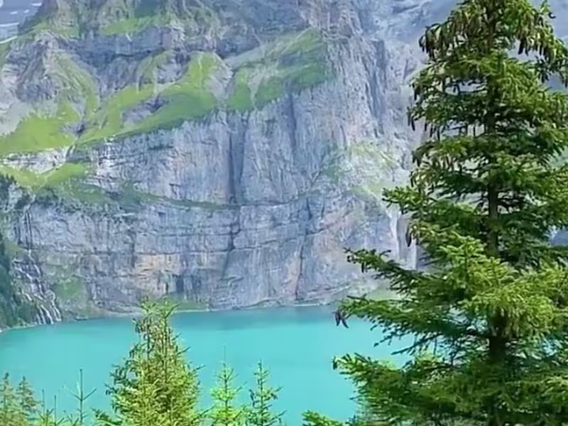 Cover image for Web Development 