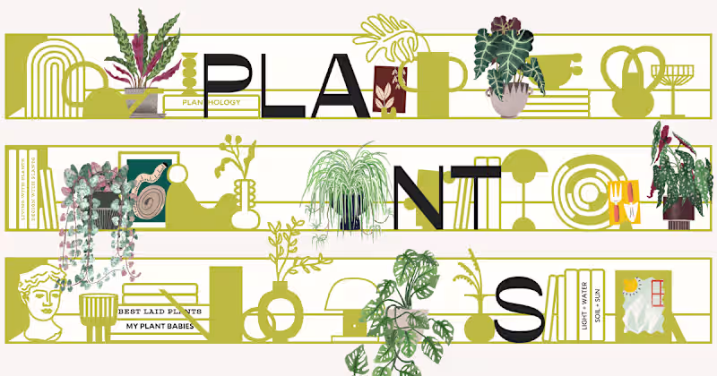 Cover image for How Many Plants - Indoor and House Plant Resource