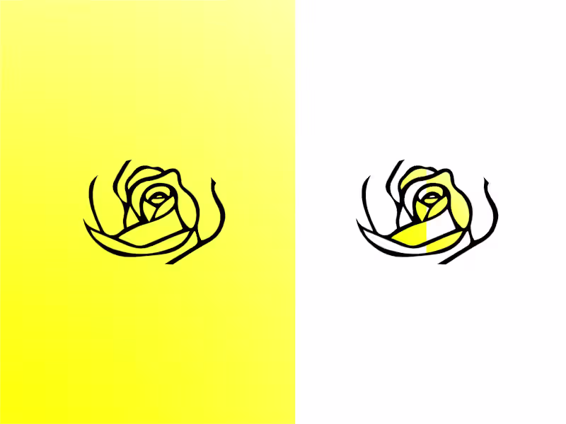 Cover image for I had a chance to work with a company, Shecielo, a beauty an...