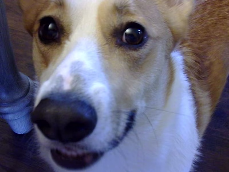 Cover image for Account Reconciliation