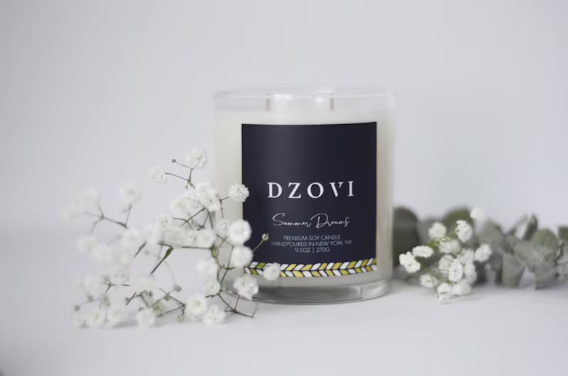 Cover image for DZOVI