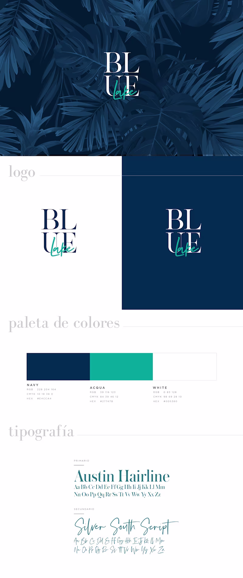 Cover image for Brand Design // Blue Lake